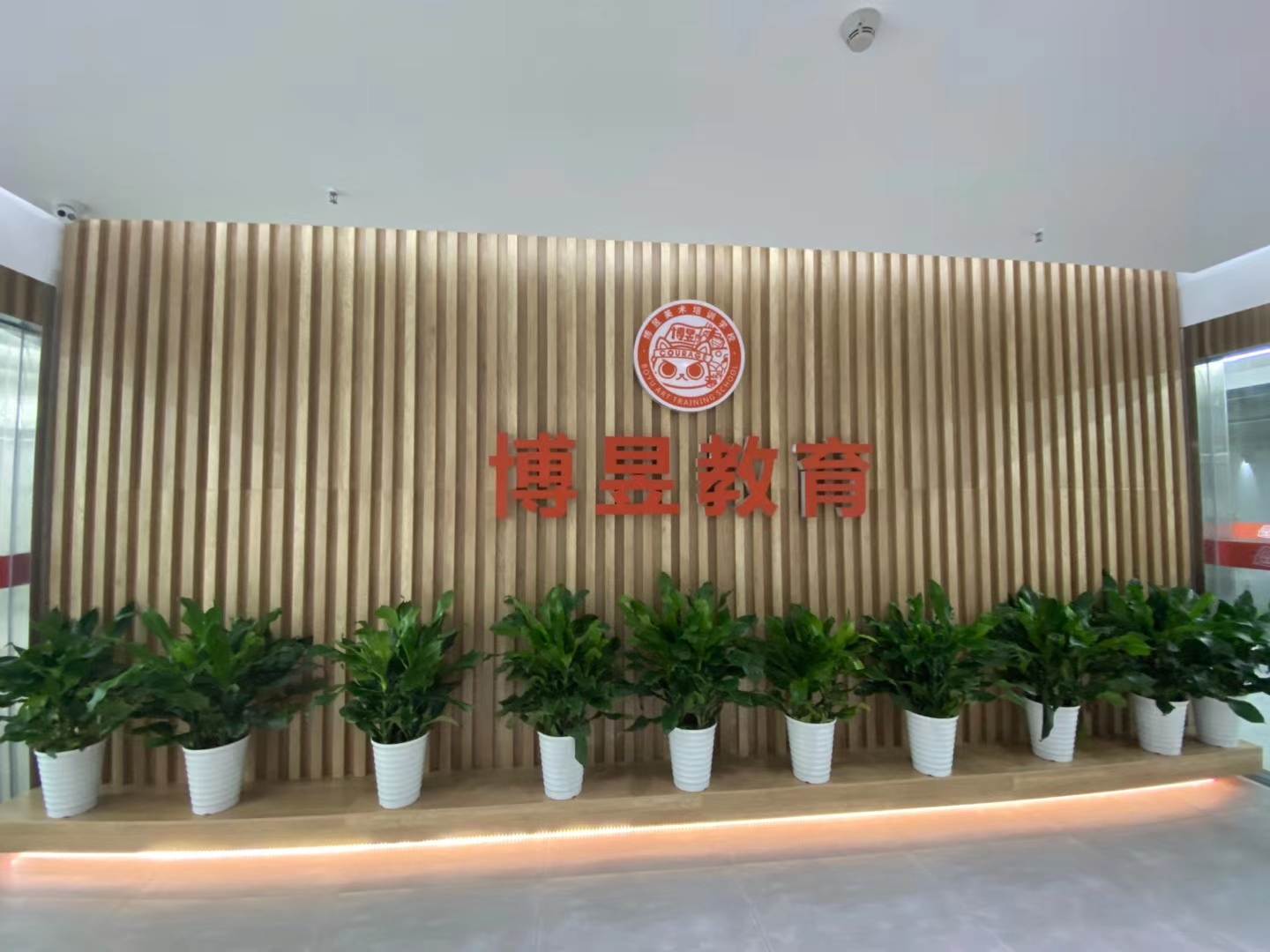 武汉市青山区博昱美术培训学校